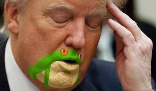Amerykański artysta dostrzegł żabę w podbródku Donalda Trumpa – internauci podchwycili jego pomysł!