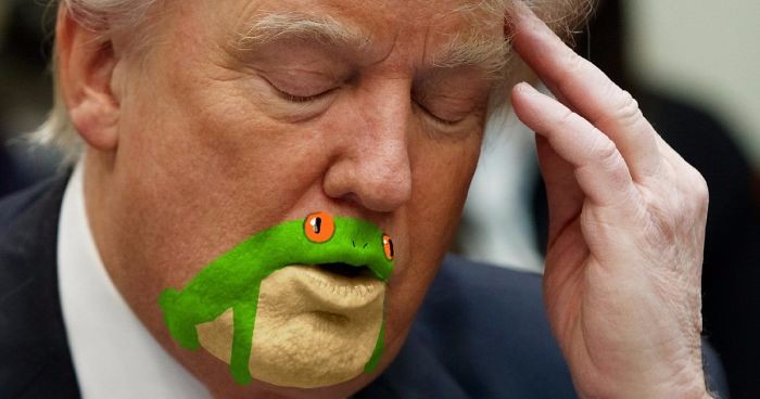 Amerykański artysta dostrzegł żabę w podbródku Donalda Trumpa – internauci podchwycili jego pomysł!
