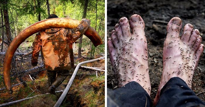 Odważny fotograf wyruszył na Syberię, by dołączyć do gangu łowców mamucich kości.