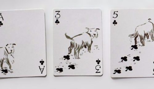 Pack of Dogs – rewelacyjny zestaw designerskich kart dla właścicieli psiaków i ich pupili.