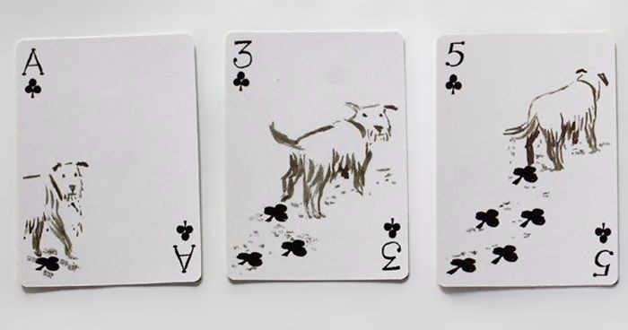Pack of Dogs – rewelacyjny zestaw designerskich kart dla właścicieli psiaków i ich pupili.