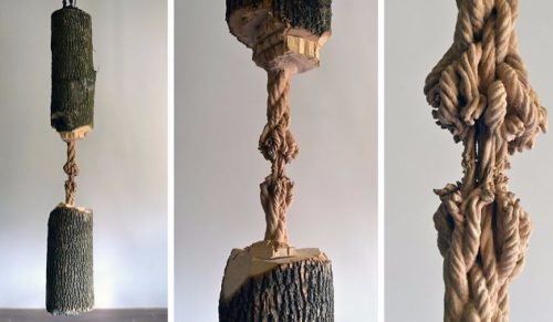 Kanadyjski artysta przemienił pień jesionu w postrzępioną linę – jego dzieło naprawdę robi wrażenie!