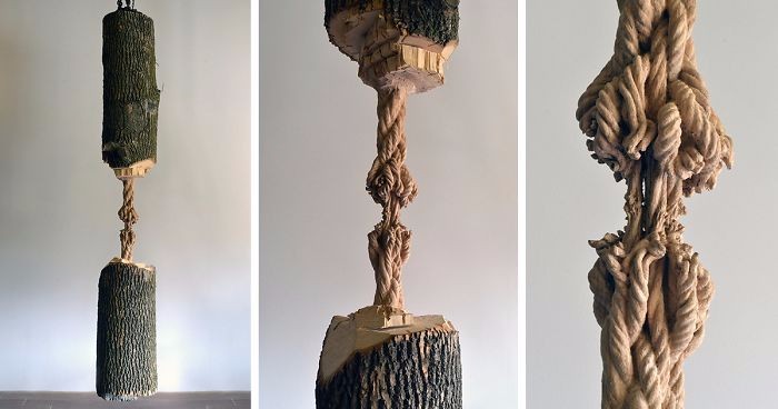Kanadyjski artysta przemienił pień jesionu w postrzępioną linę – jego dzieło naprawdę robi wrażenie!