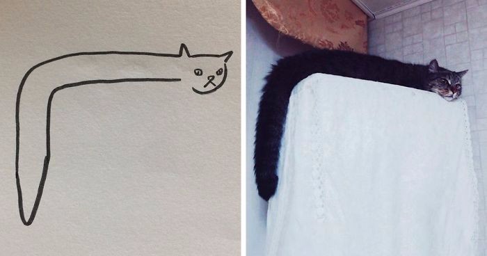 Brazylijska artystka rysuje niezgrabne koty, odwzorowując ich nienaturalnie pokraczne sylwetki.