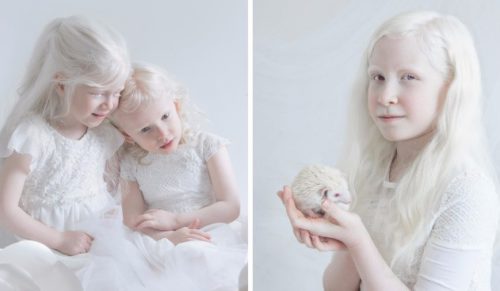 Szlachetne piękno albinosów na unikatowych fotografiach izraelskiej artystki.