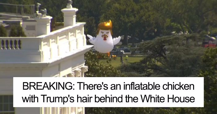 Gigantyczny dmuchany kurczak przypominający Donalda Trumpa wylądował w pobliżu Białego Domu.