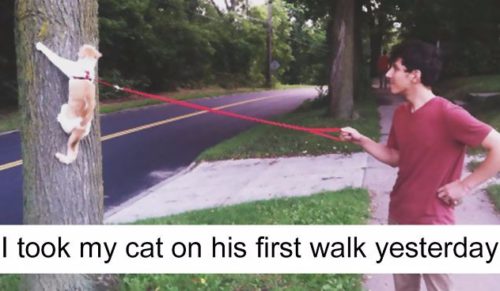 10 przezabawnych kotów z Tumblra, które na długo zapisały się w historii Internetu.