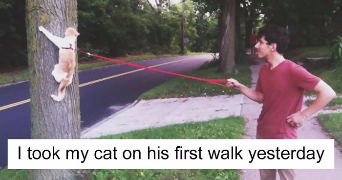 10 przezabawnych kotów z Tumblra, które na długo zapisały się w historii Internetu.
