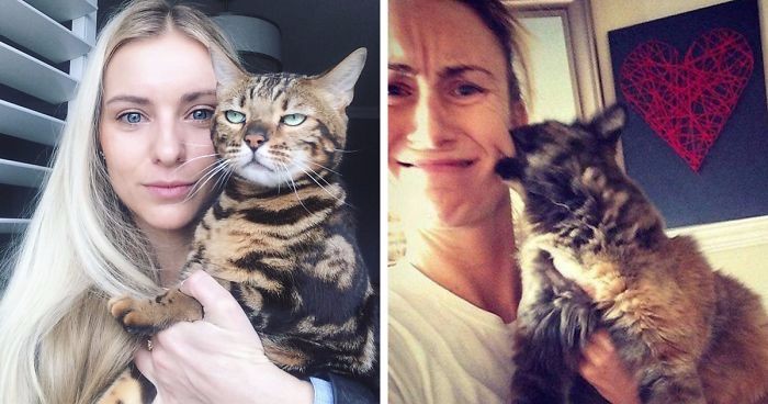 15 reakcji kotów zmuszonych do wspólnych zdjęć przez swoich irytujących właścicieli.