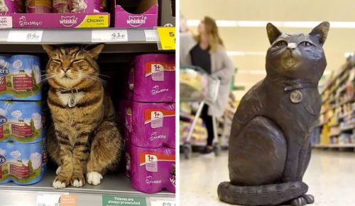 Klienci supermarketu zgromadzili 4 tysiące dolarów dla uczczenia postaci słynnego sklepowego kota.