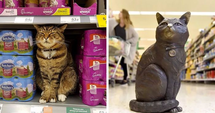 Klienci supermarketu zgromadzili 4 tysiące dolarów dla uczczenia postaci słynnego sklepowego kota.