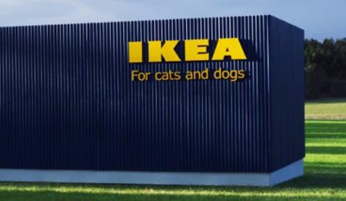 IKEA dla psów i kotów. Najnowsza kolekcja mebli to prawdziwy raj dla naszych czworonożnych pupili!