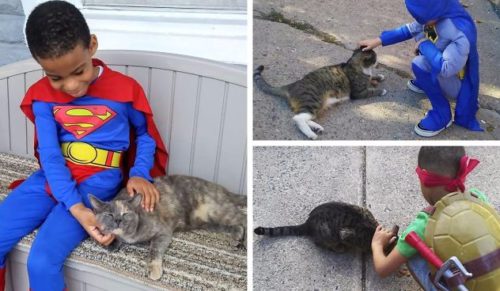 5-letni chłopiec w przebraniu herosa niesie pomoc bezdomnym kotom ze swojej okolicy.
