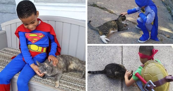 5-letni chłopiec w przebraniu herosa niesie pomoc bezdomnym kotom ze swojej okolicy.