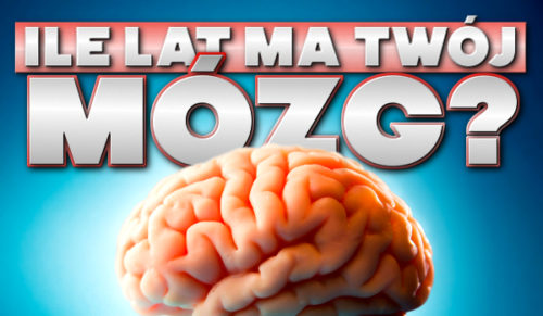 Ile lat ma Twój mózg?