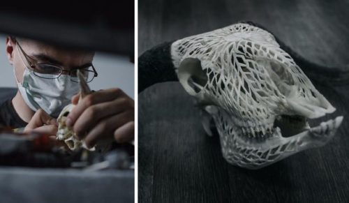 Zamienił nałóg na kreatywne hobby. Jego rzeźbione czaszki zwierząt podziwia dziś cały świat!