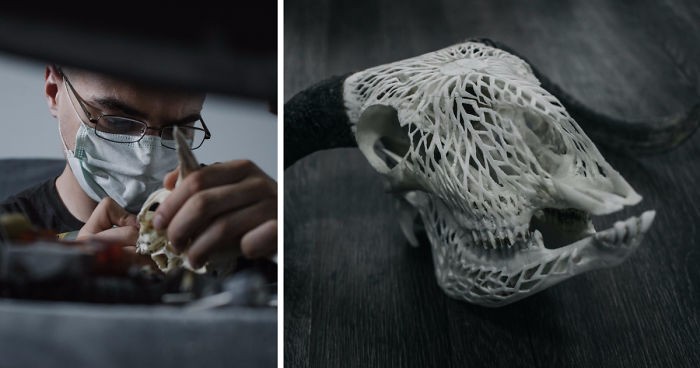 Zamienił nałóg na kreatywne hobby. Jego rzeźbione czaszki zwierząt podziwia dziś cały świat!