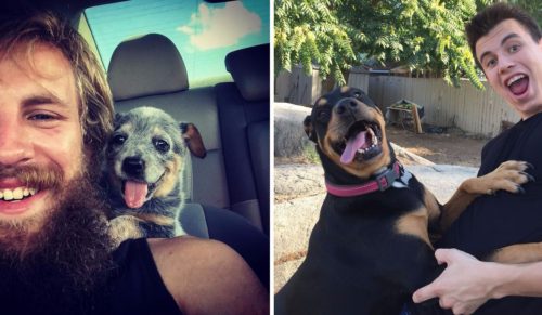 15 zdjęć, na których uwieczniono moment pierwszego spotkania psiaków z ich nowymi właścicielami.