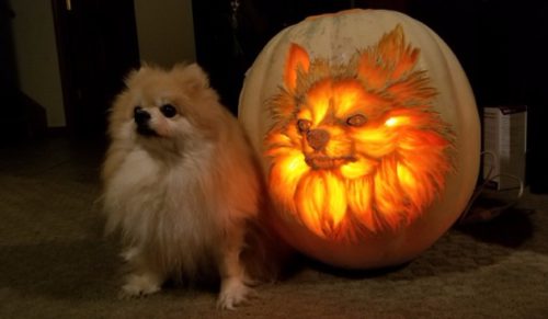 Halloweenowy lampion z podobizną psiaka podbija Internet! Jesteś ciekaw poprzednich prac tego artysty?