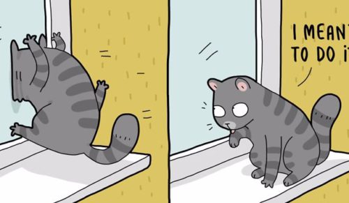18 zabawnych komiksów ilustrujących życie typowego właściciela kota.