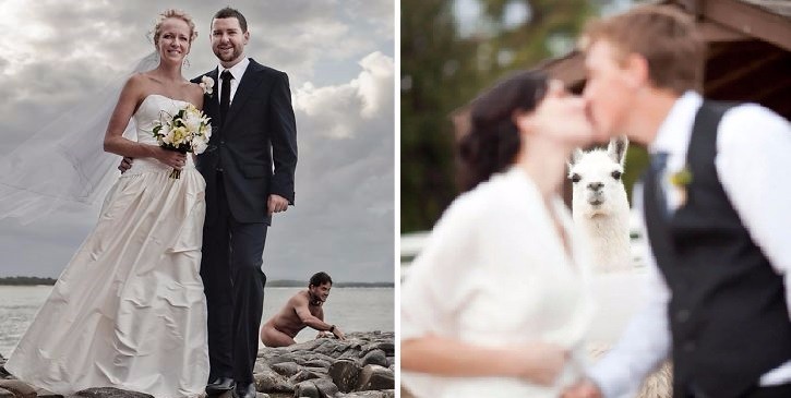 15 ślubnych fotografii, które niespodziewanie zakłócili przypadkowi uczestnicy sesji zdjęciowych.