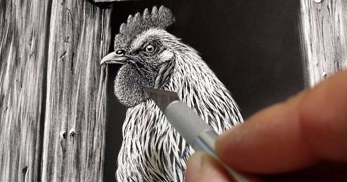 Sztuka scratchboardu – hiperrealistyczne rysunki zwierząt wykonane techniką wydrapywania.