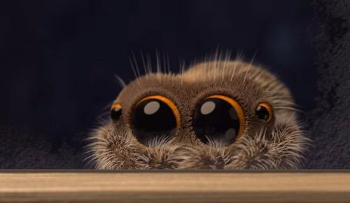 Lucas, najbardziej przyjazny pająk wszechczasów, powraca w nowym filmiku!