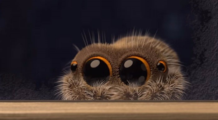 Lucas, najbardziej przyjazny pająk wszechczasów, powraca w nowym filmiku!