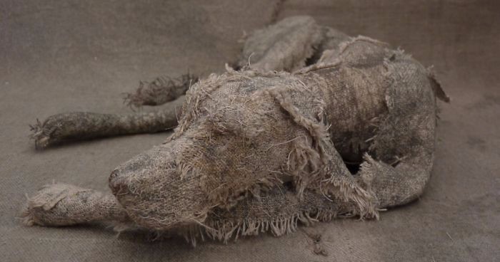 Brytyjska artystka używa wiekowych tkanin, tworząc realistyczne rzeźby na kształt psów.