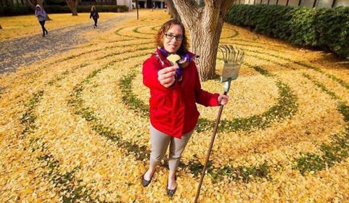 Każdego roku adwokat uniwersytetu w Sacramento ozdabia kampus kompozycjami z jesiennych liści.