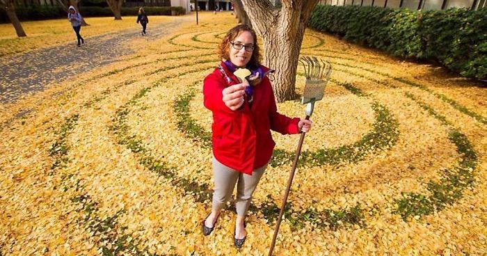 Każdego roku adwokat uniwersytetu w Sacramento ozdabia kampus kompozycjami z jesiennych liści.