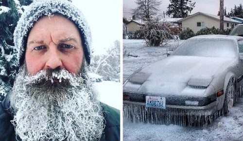 Amerykanie i Kanadyjczycy dokumentują fenomen mroźnej zimy, która skutecznie utrudnia im życie.