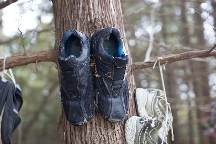Mężczyzna przez przypadek znalazł tajemniczy las pełen butów, o którym nikt wcześniej nie słyszał!