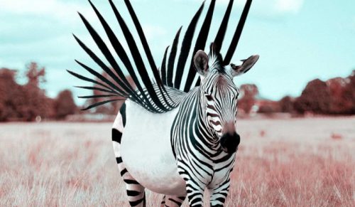 Francuski artysta sprytnie wykorzystuje Photoshopa do tworzenia fantastycznych zwierząt!