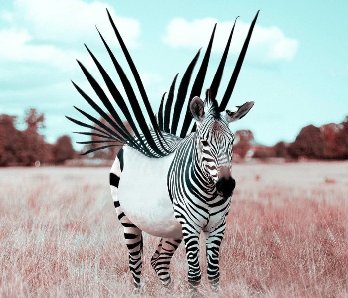 Francuski artysta sprytnie wykorzystuje Photoshopa do tworzenia fantastycznych zwierząt!