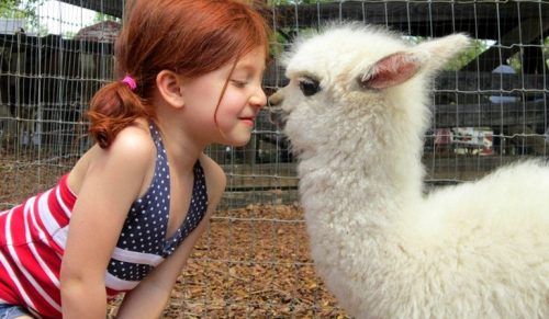 20 przykładów pokazujących, że dzieci i zwierzęta są przesłodkie!