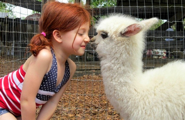 20 przykładów pokazujących, że dzieci i zwierzęta są przesłodkie!