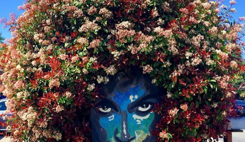 Mural Prince’a niespodziewanie obrasta kwiatami, co jest pięknym hołdem!