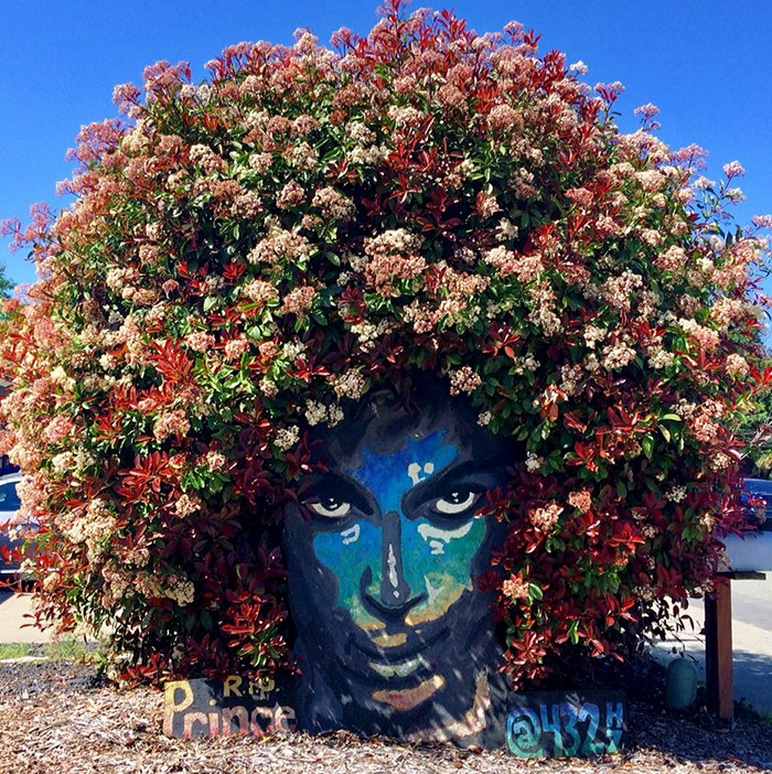 Mural Prince’a niespodziewanie obrasta kwiatami, co jest pięknym hołdem!