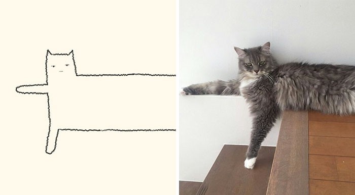 20 prostych i prawdziwych rysunków kotów, które cię rozbawią!