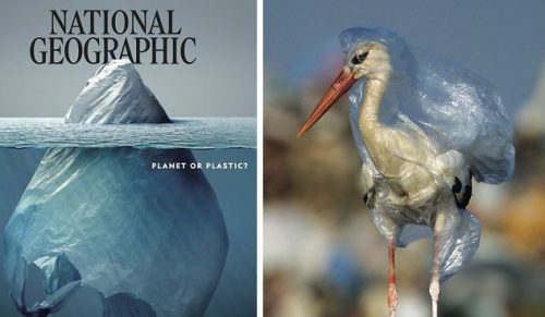 Wszyscy oklaskują okładkę National Geographic, ale prawdziwy szok znajduje się wewnątrz magazynu!