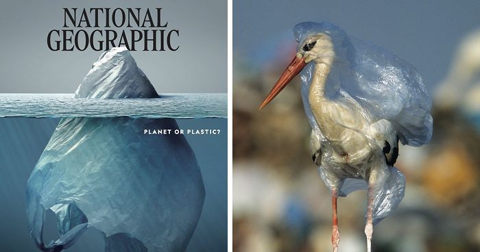 Wszyscy oklaskują okładkę National Geographic, ale prawdziwy szok znajduje się wewnątrz magazynu!