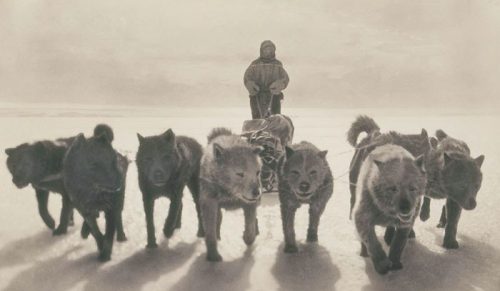 Rzadkie zdjęcia pierwszej australijskiej ekspedycji na Antarktydzie, która trwała 100 lat!