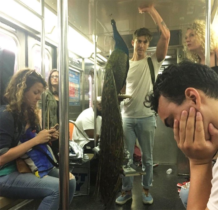 Najdziwniejsze zdjęcia zrobione w metrze!