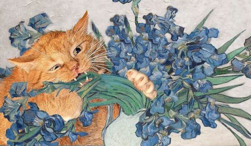 Artystka wstawia swojego kota do popularnych obrazów!