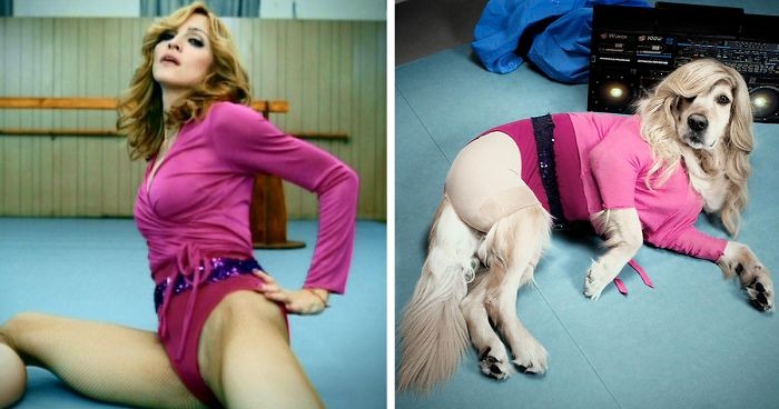 Ten pies odtwarza ikoniczne zdjęcia Madonny, a dopracowanie szczegółów jest niewiarygodne!