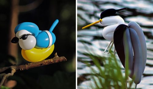 Artysta tworzy niezwykłe ptaki z balonów!