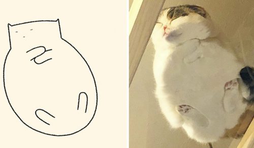 Artysta tworzy urocze, minimalistyczne rysunki kotów i są one zaskakująco dokładne!