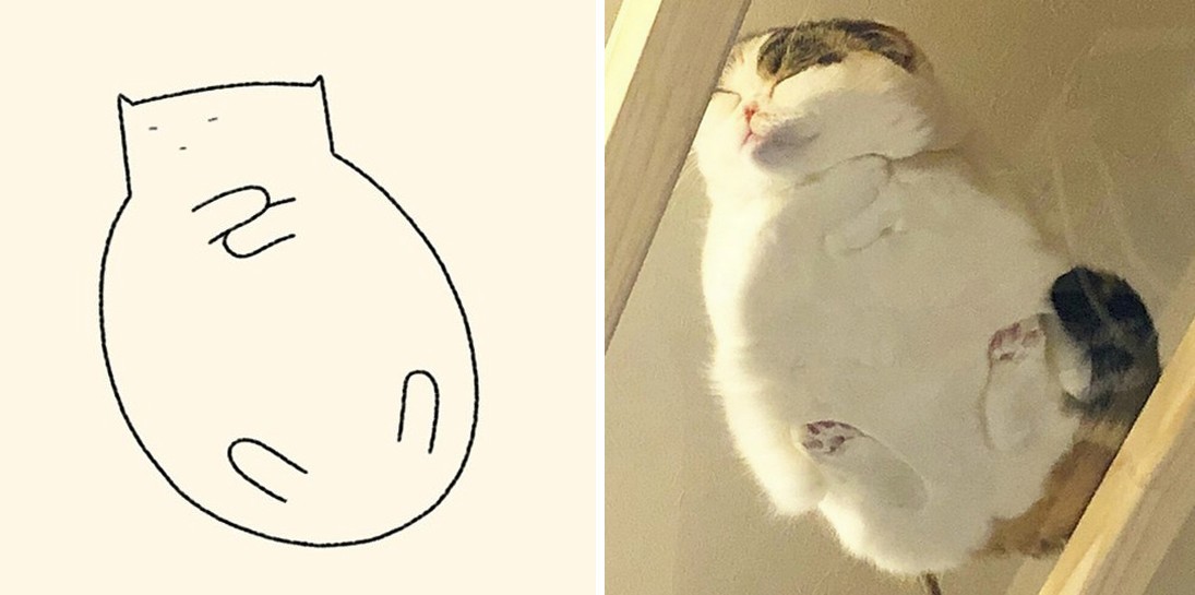 Artysta tworzy urocze, minimalistyczne rysunki kotów i są one zaskakująco dokładne!