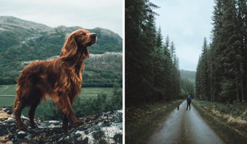 Ta ludzka i psia miłość wędruje razem po norweskiej dziczy, a ich zdjęcia są niesamowite!
